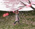 Attack Animation