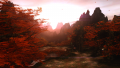 Thumbnail for version as of 21:33, 12 November 2019