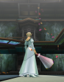 Aura/animation