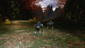 Thumbnail for version as of 16:00, 2 October 2020