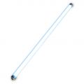 Fluorescent Bulb