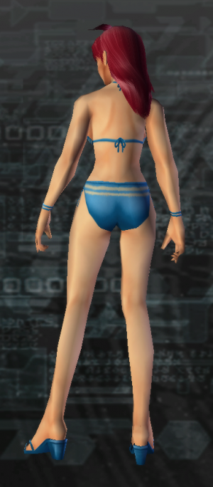 Bikini Swimwear AW back.png