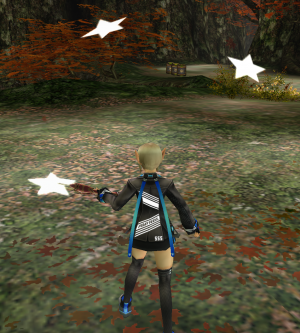 Hoshi-Kikami card effect.png